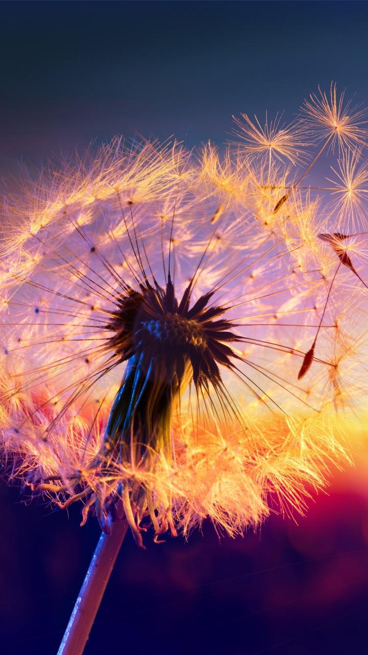 Обои soundcloud, быть никем, космический джем, восход солнца в лагуне, Варгелис в разрешении 720x1280