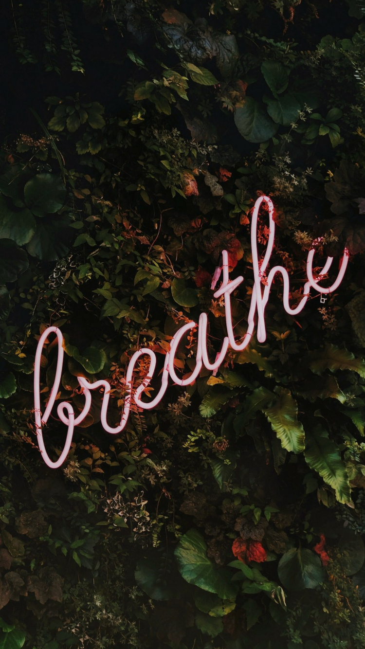 Обои растение, пейзаж, природный ландшафт, вывеска, древесина в разрешении 750x1334