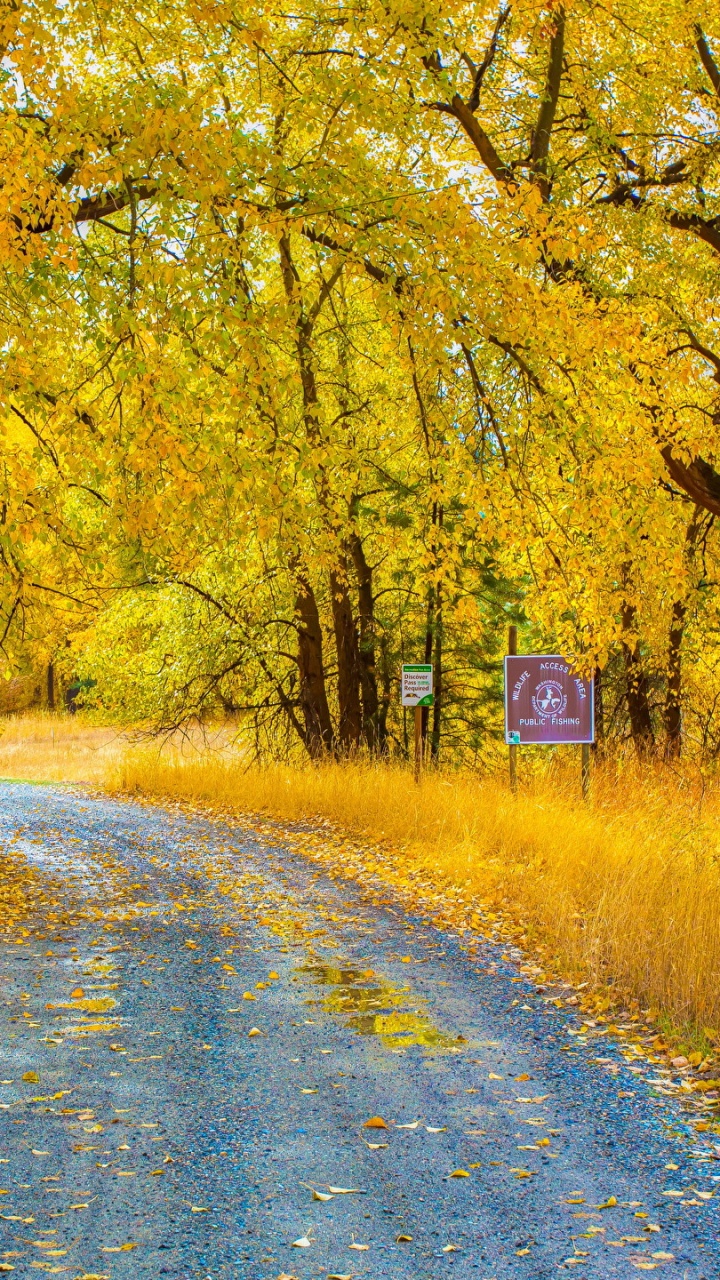 Обои природа, лист, желтый, осень, дорога в разрешении 720x1280