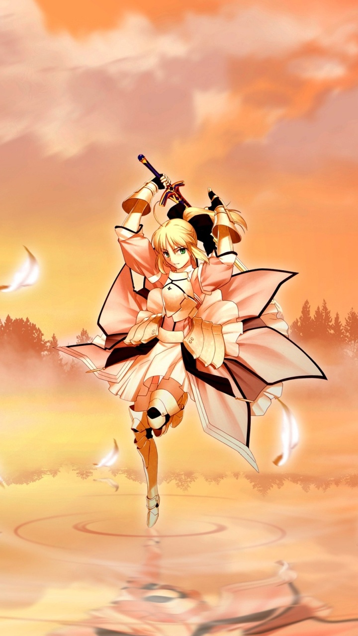 Обои Судьба неограниченное коды, сабля, аниме, иллюстрация, небо в разрешении 720x1280