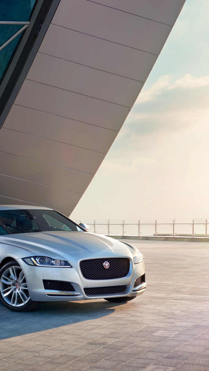 Обои Ягуар xf, Ягуар ХФ 2016, автомобили jaguar, Ягуар, моторный транспорт в разрешении 720x1280