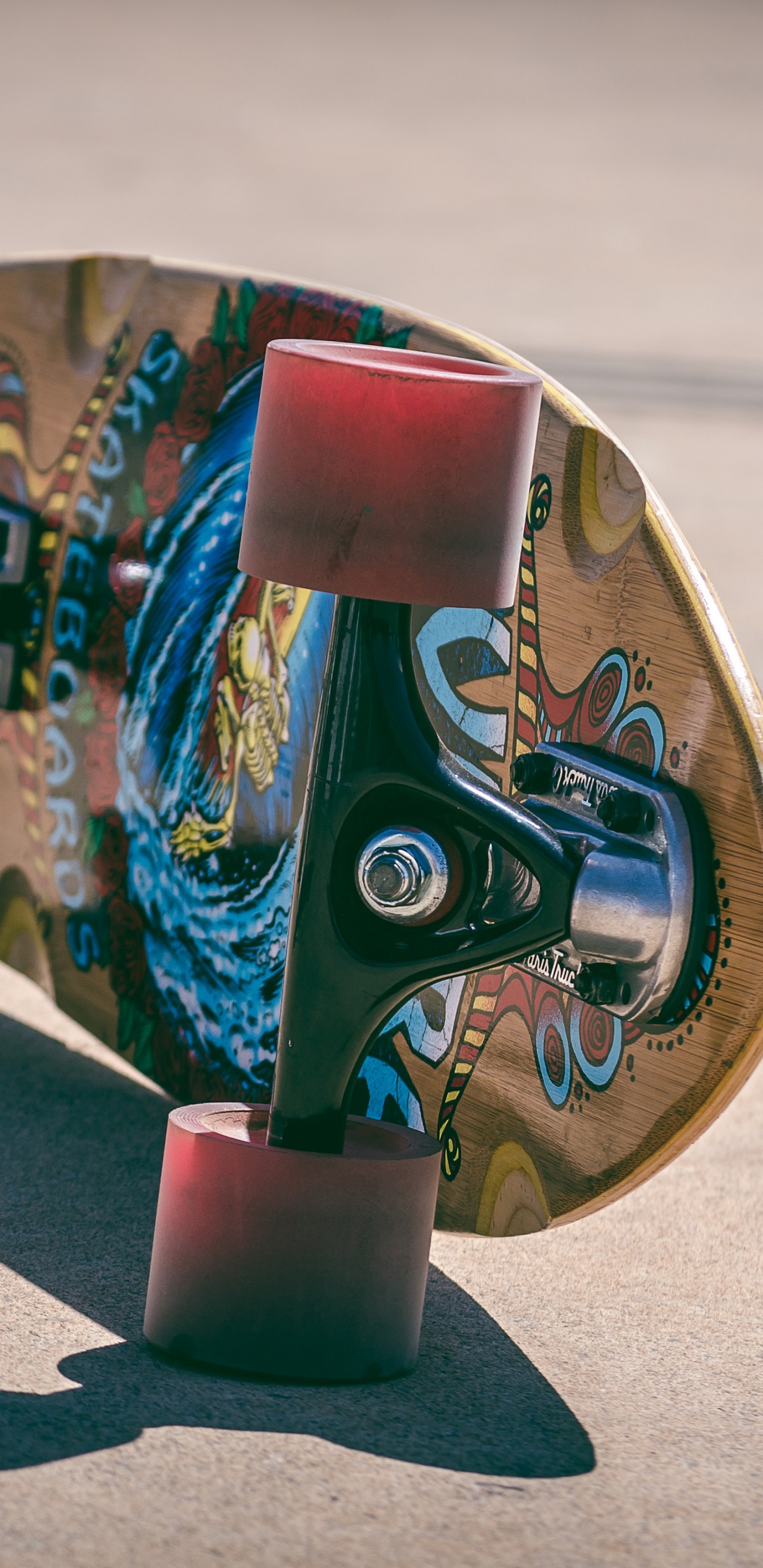 Обои скейтборд, скейтбординг, Лонгборд, колесо, спортивный инвентарь в разрешении 1440x2960