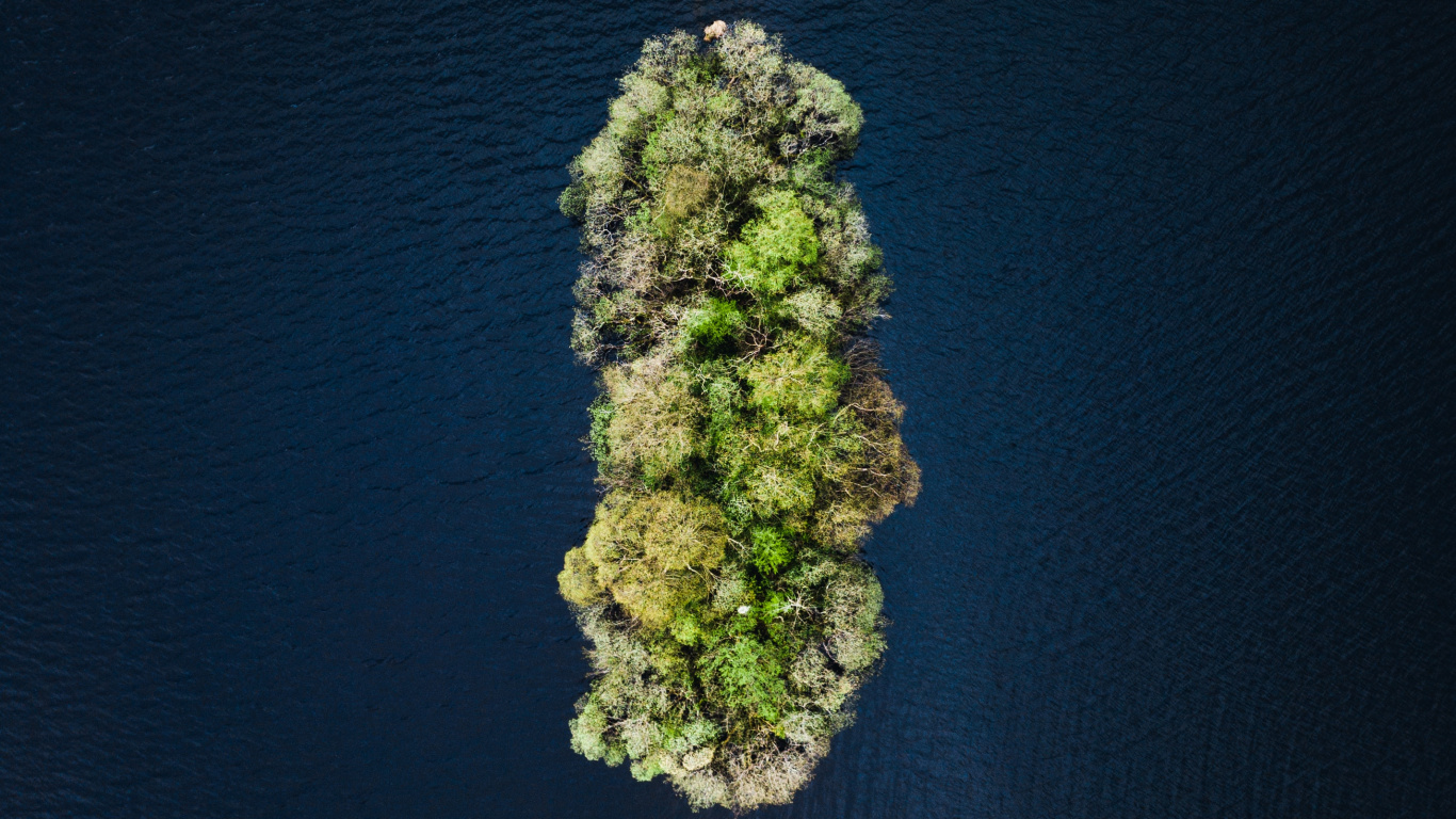 Обои вода, зеленый, растение, рок, цветок в разрешении 1366x768