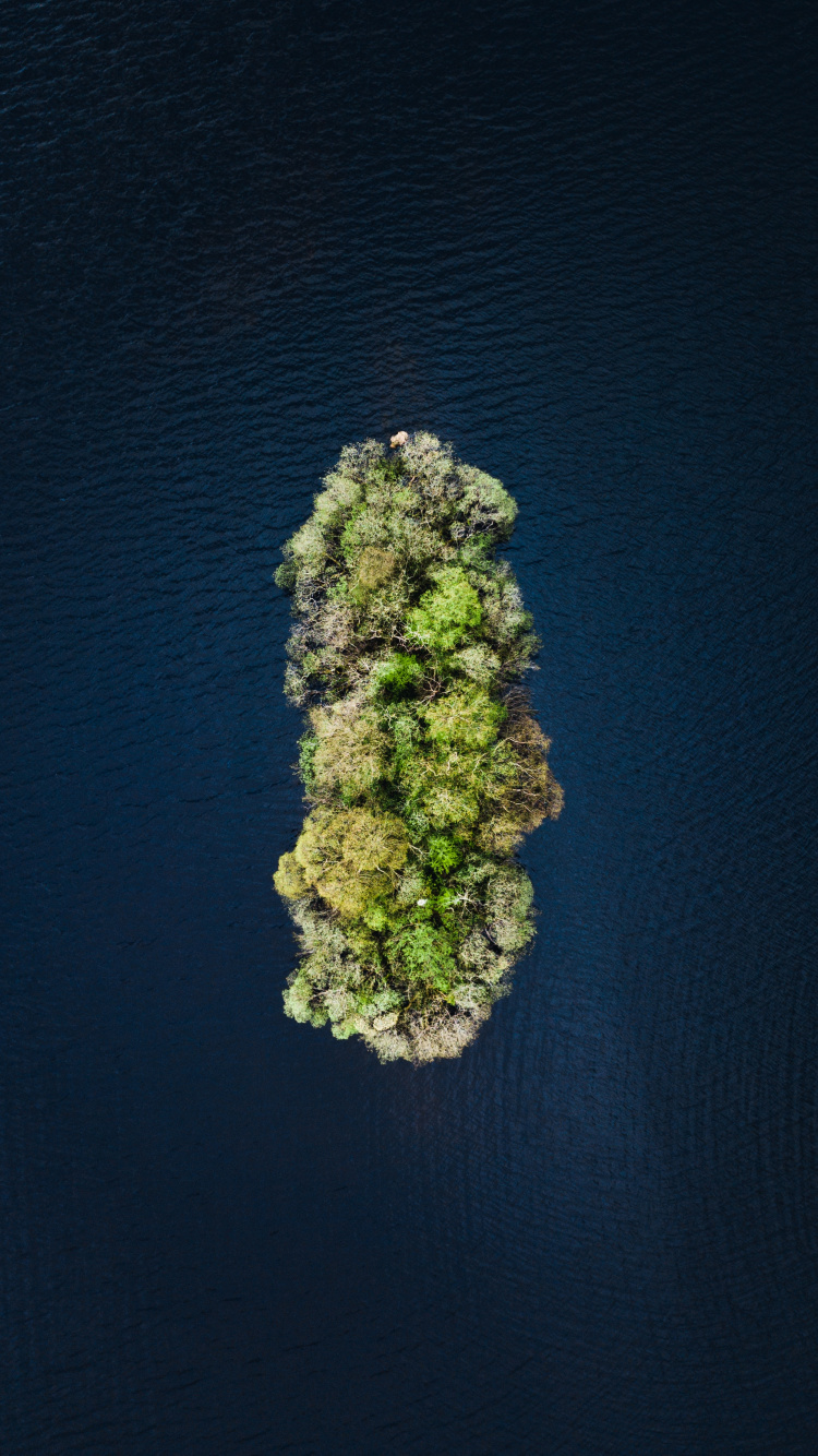 Обои вода, зеленый, растение, рок, цветок в разрешении 750x1334