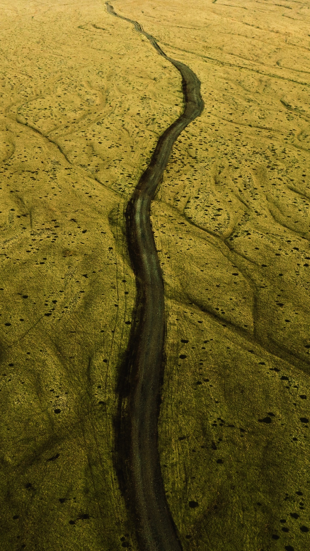 Обои природный ландшафт, трава, дерево, геология, природа в разрешении 1080x1920