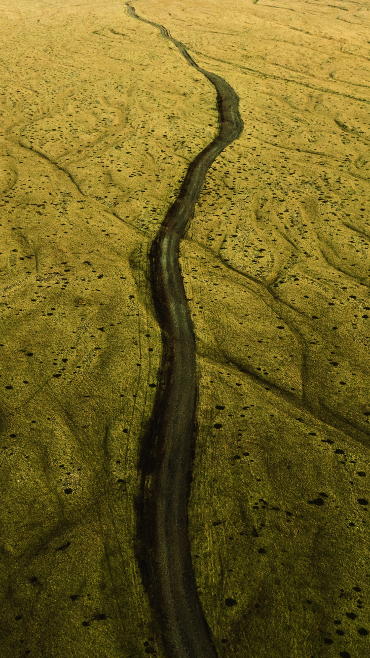 Обои природный ландшафт, трава, дерево, геология, природа в разрешении 750x1334