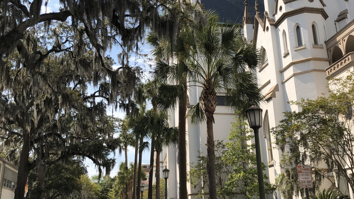 Обои дерево, наука, автомобильный стояночный свет, шпиль, автомобильное освещение в разрешении 1366x768