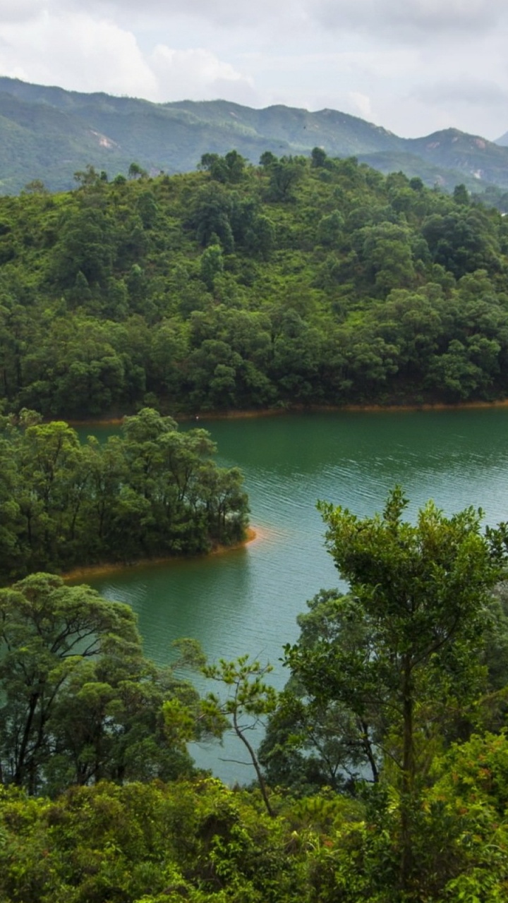 Обои Гонконг, природа, горная станция, растительность, гидроресурсы в разрешении 720x1280