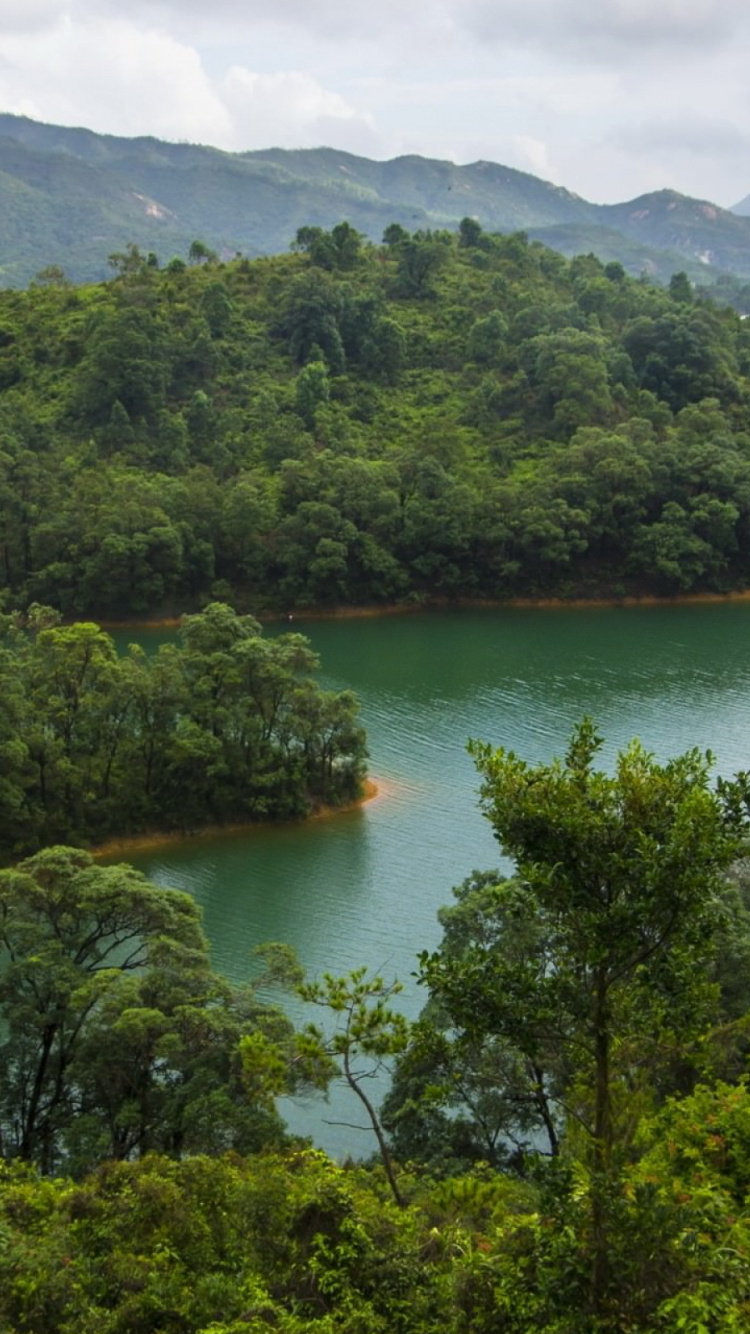 Обои Гонконг, природа, горная станция, растительность, гидроресурсы в разрешении 750x1334