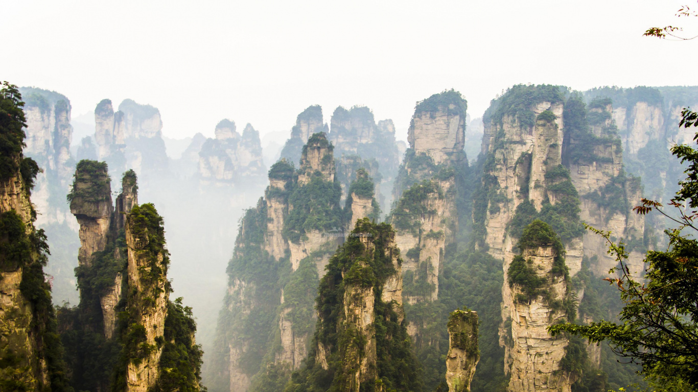 Обои национальный парк секвойя, национальный парк, парк, природа, растительность в разрешении 1366x768
