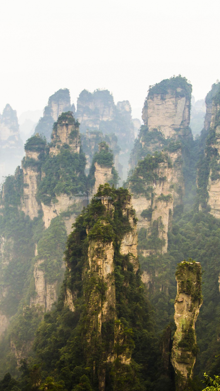 Обои национальный парк секвойя, национальный парк, парк, природа, растительность в разрешении 750x1334