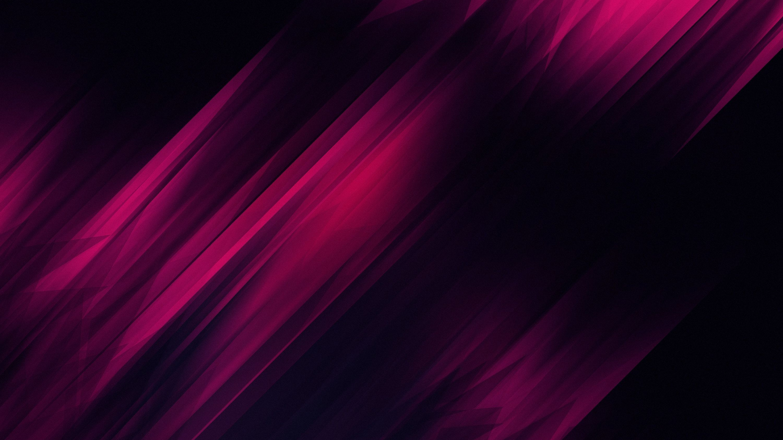 Обои Фиолетовый, пурпур, розовый, красный цвет, черный в разрешении 2560x1440
