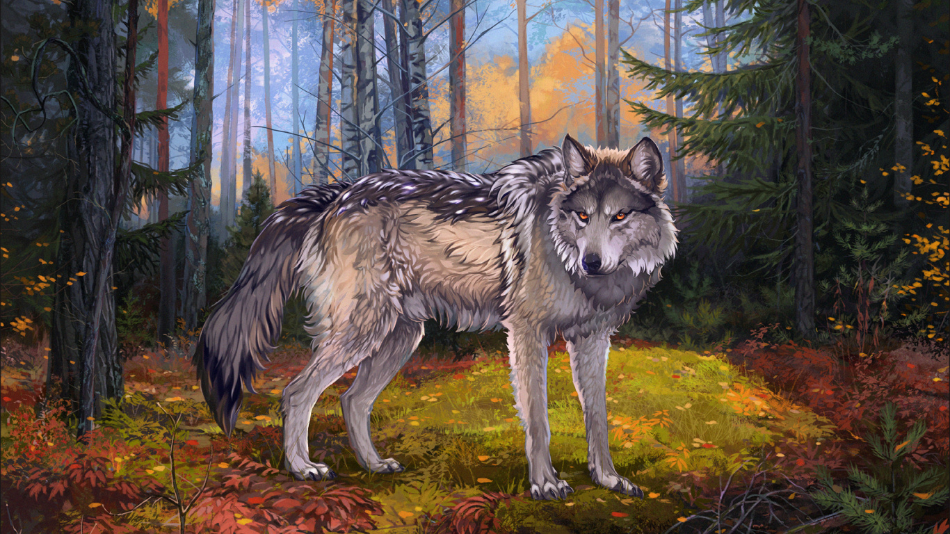 Обои волк, живая природа, Псовые, волчьей собаки сарлоса, волкодав в разрешении 1366x768