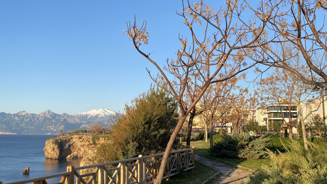 Обои наука, биология, физика, растение, вода в разрешении 1366x768