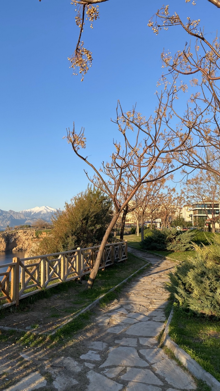 Обои наука, биология, физика, растение, вода в разрешении 720x1280