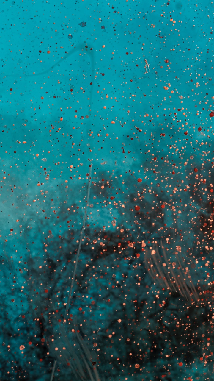 Обои зеленый, синий, бирюза, чирок, Аква в разрешении 720x1280