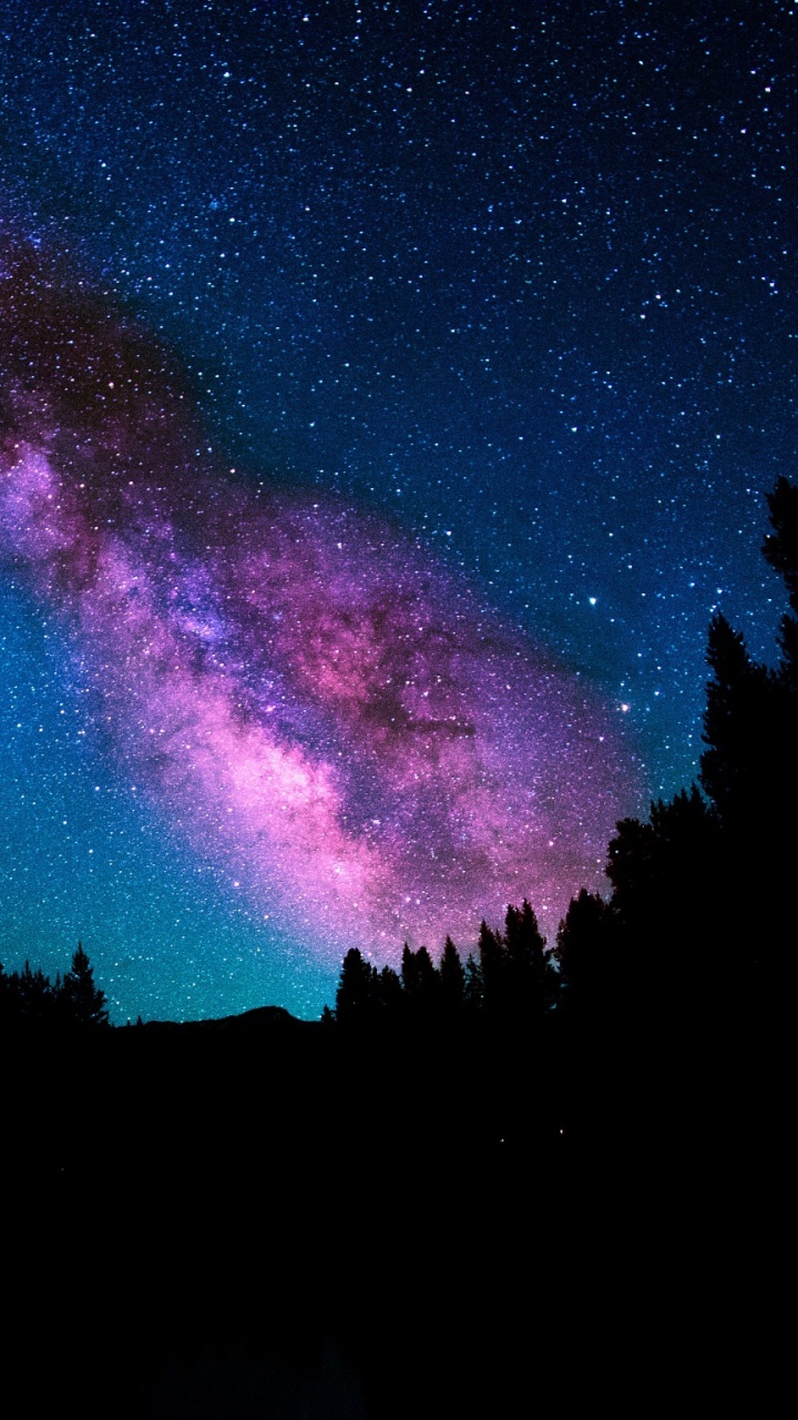 Обои Млечный Путь, звезда, ночное небо, ночь, астрономический объект в разрешении 720x1280