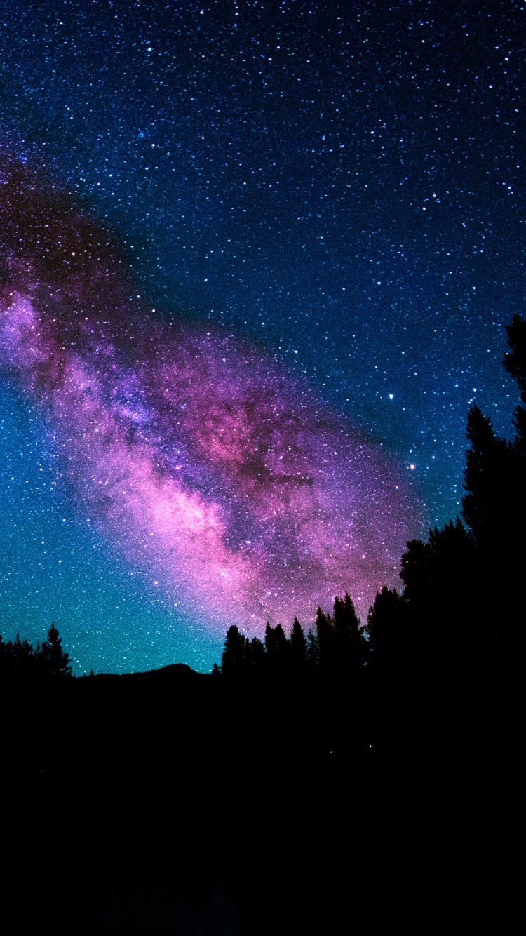 Обои Млечный Путь, звезда, ночное небо, ночь, астрономический объект в разрешении 750x1334