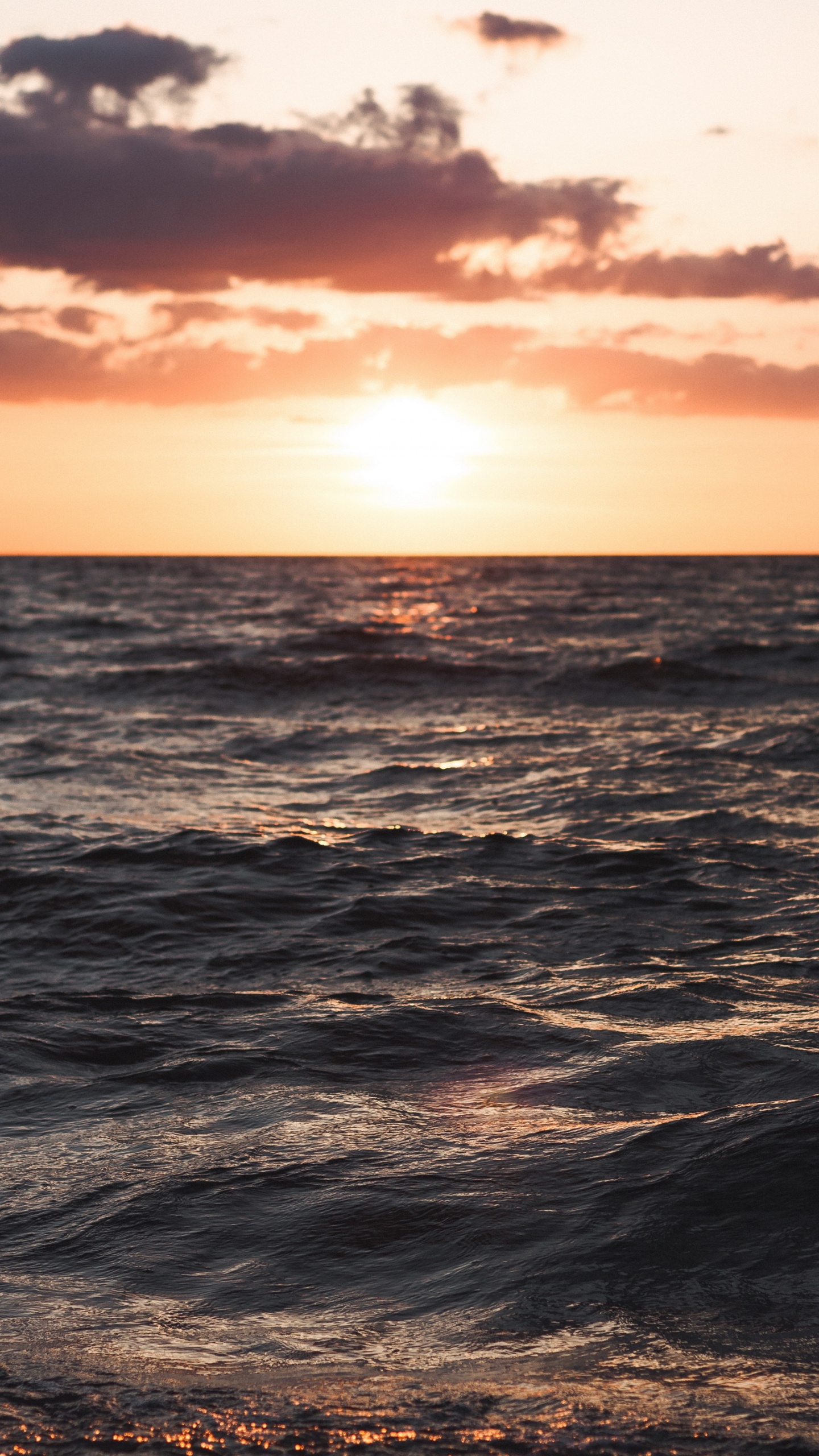 Обои море, Дания, закат, пляж, облако в разрешении 1440x2560