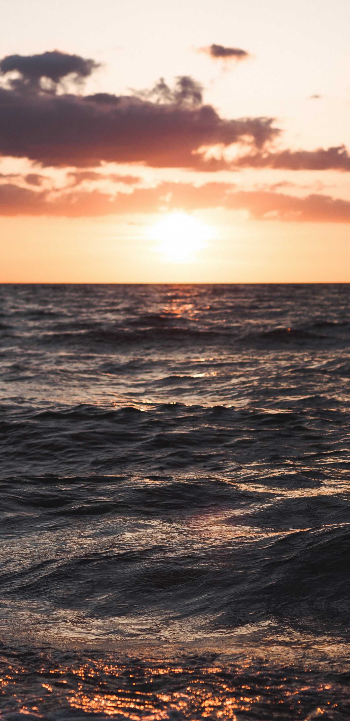 Обои море, Дания, закат, пляж, облако в разрешении 1440x2960