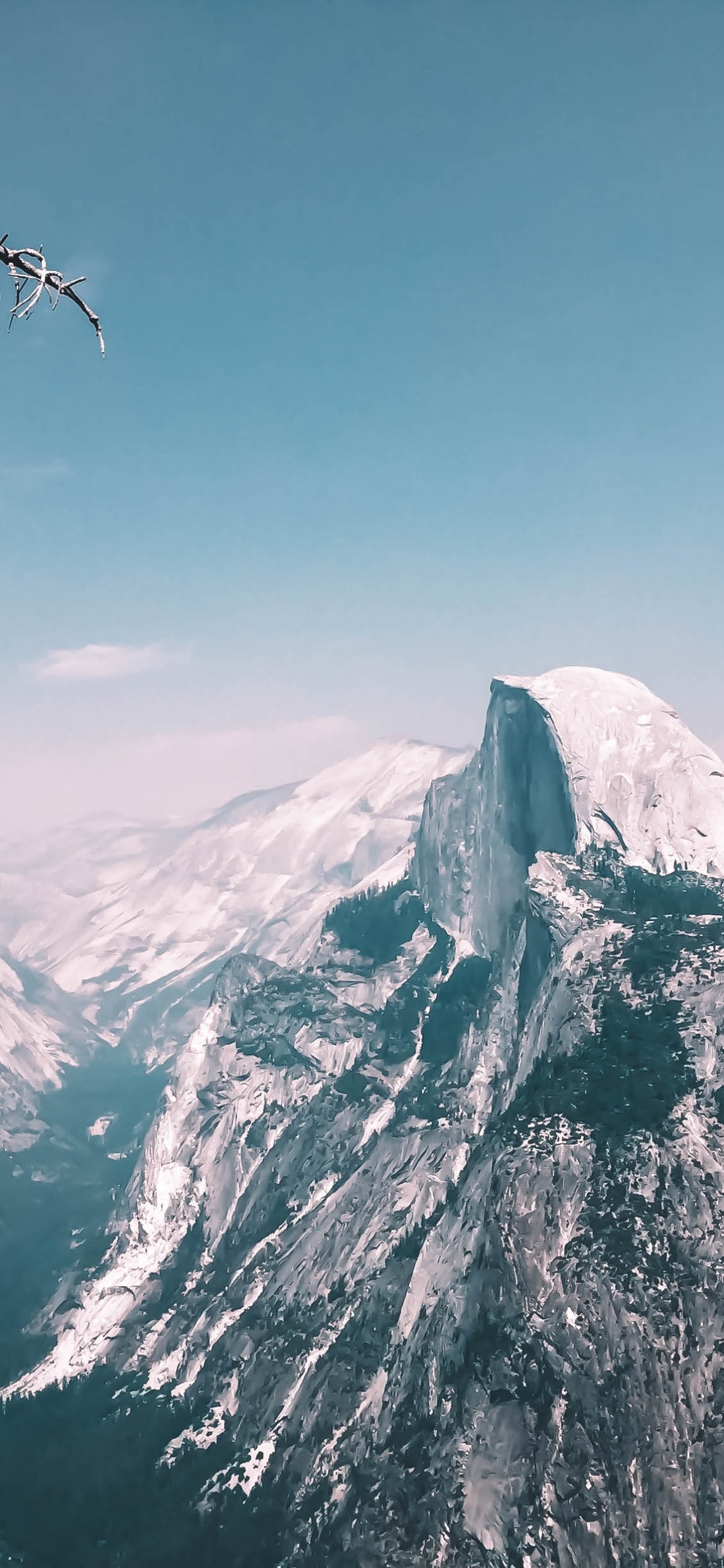 Обои йосемитский национальный парк, йосемити, клоа точка, Половина Купола, Точка Ледника в разрешении 1125x2436