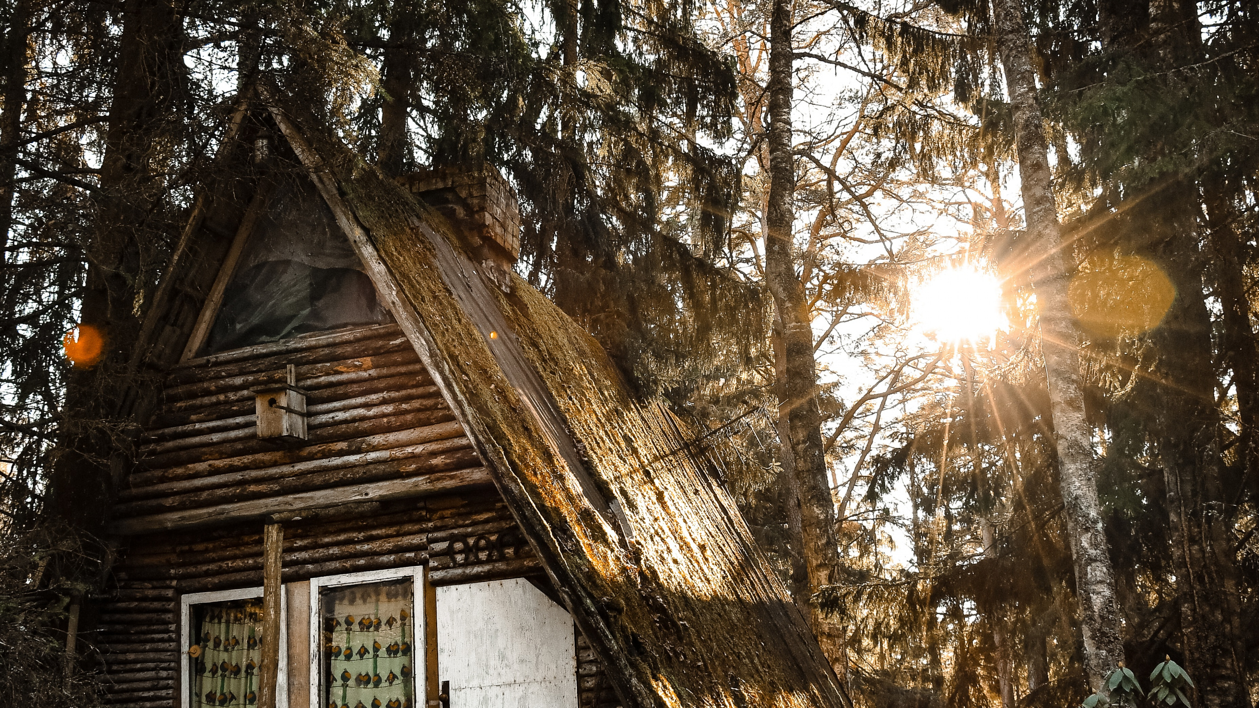 Обои здание, дерево, Хаус, родина, свет в разрешении 2560x1440