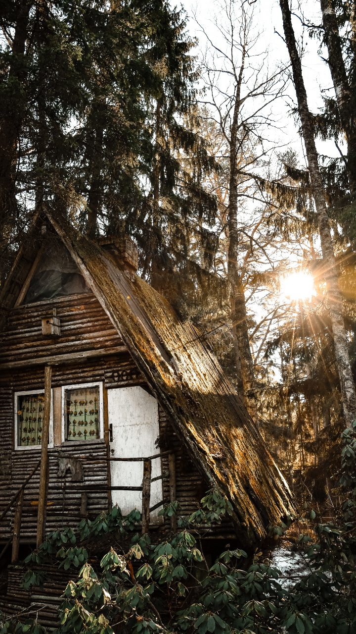 Обои здание, дерево, Хаус, родина, свет в разрешении 720x1280