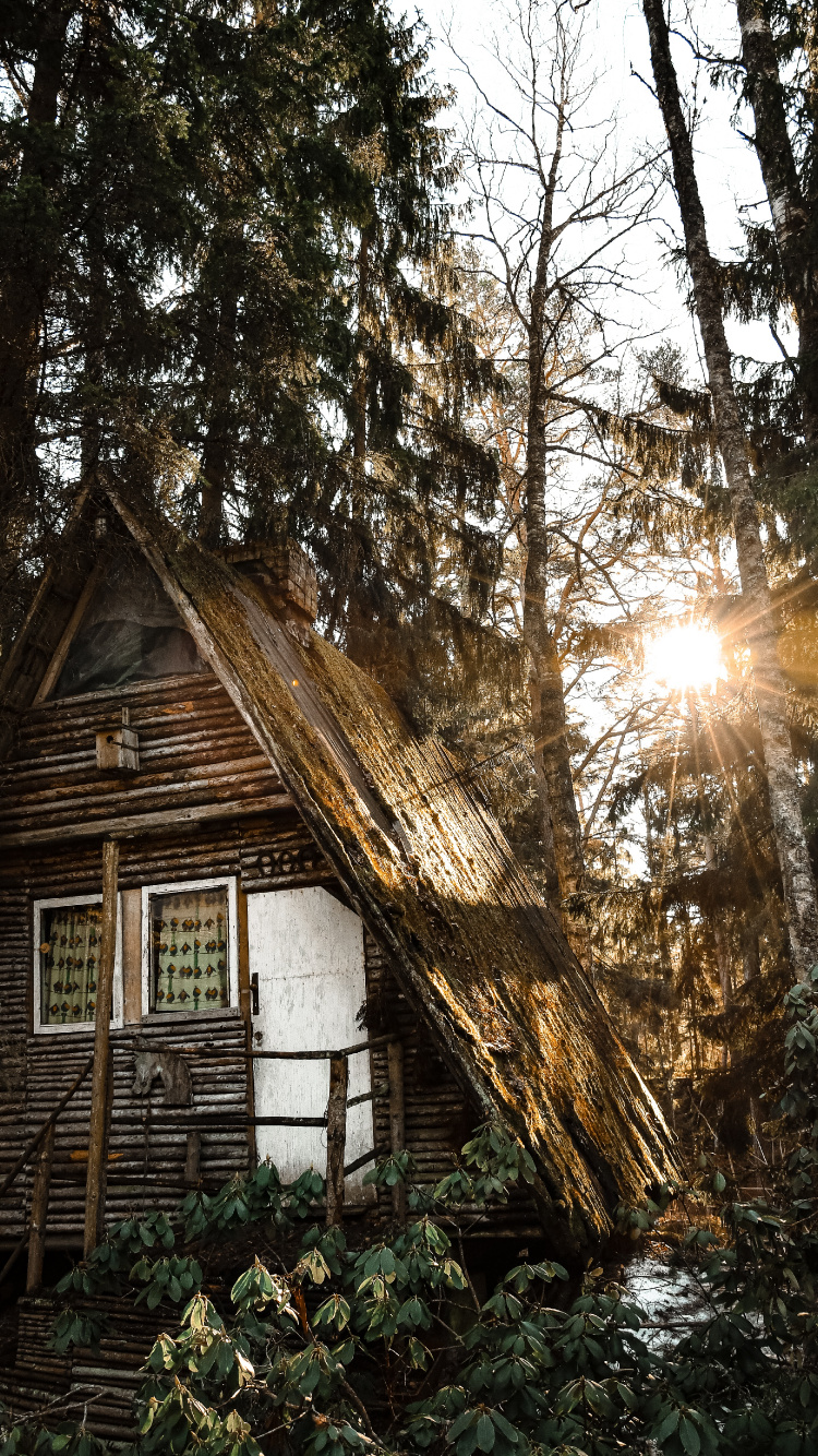 Обои здание, дерево, Хаус, родина, свет в разрешении 750x1334