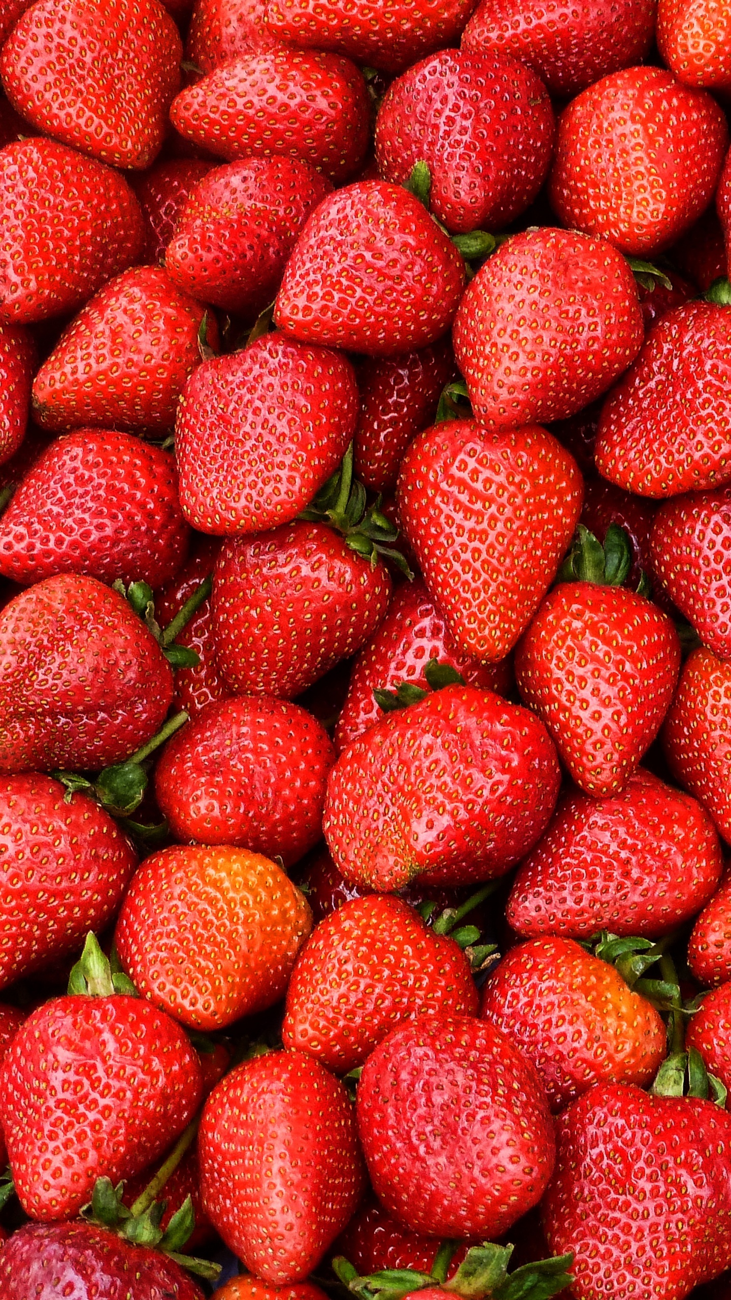 Обои пища, растение, Черника, Ягода, клубника в разрешении 1440x2560