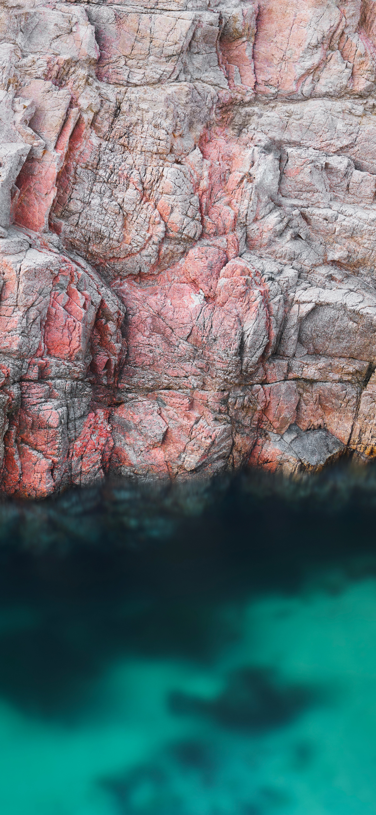 Обои apple, iPhone 12 Pro, iPhone 12 Pro Max, iPhone XS Max, macOS Big Sur в разрешении 1242x2688