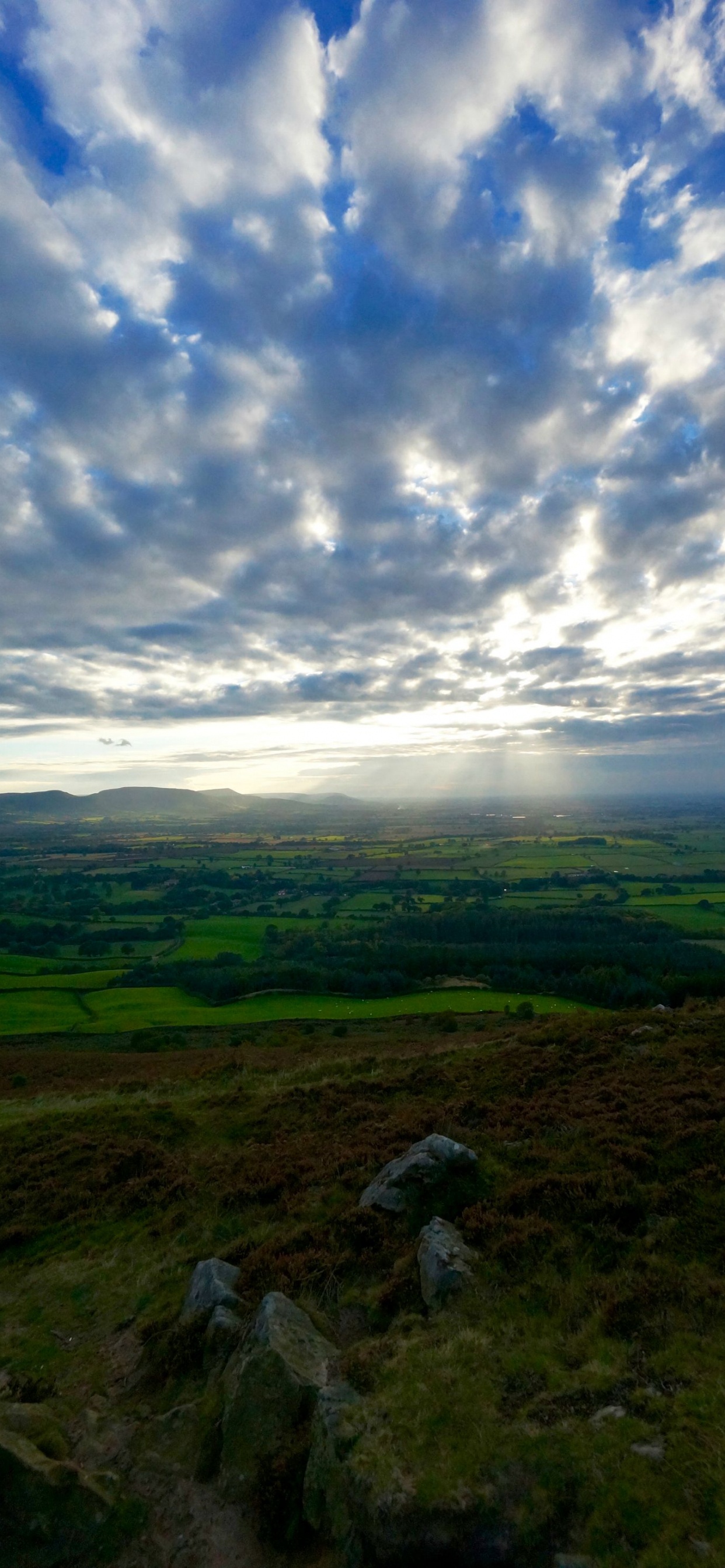 Обои нагорье, сенокосное угодье, холм, облако, озерный край в разрешении 1242x2688