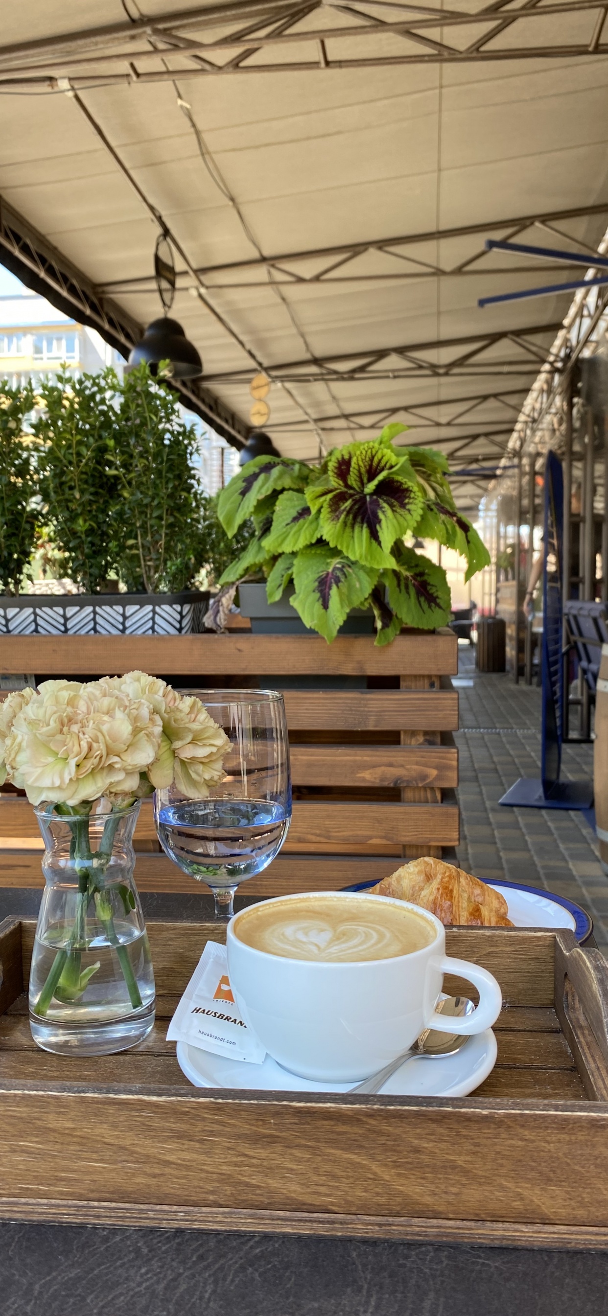 Обои таблица, кофейня, наука, биология, кофейная чашка в разрешении 1242x2688