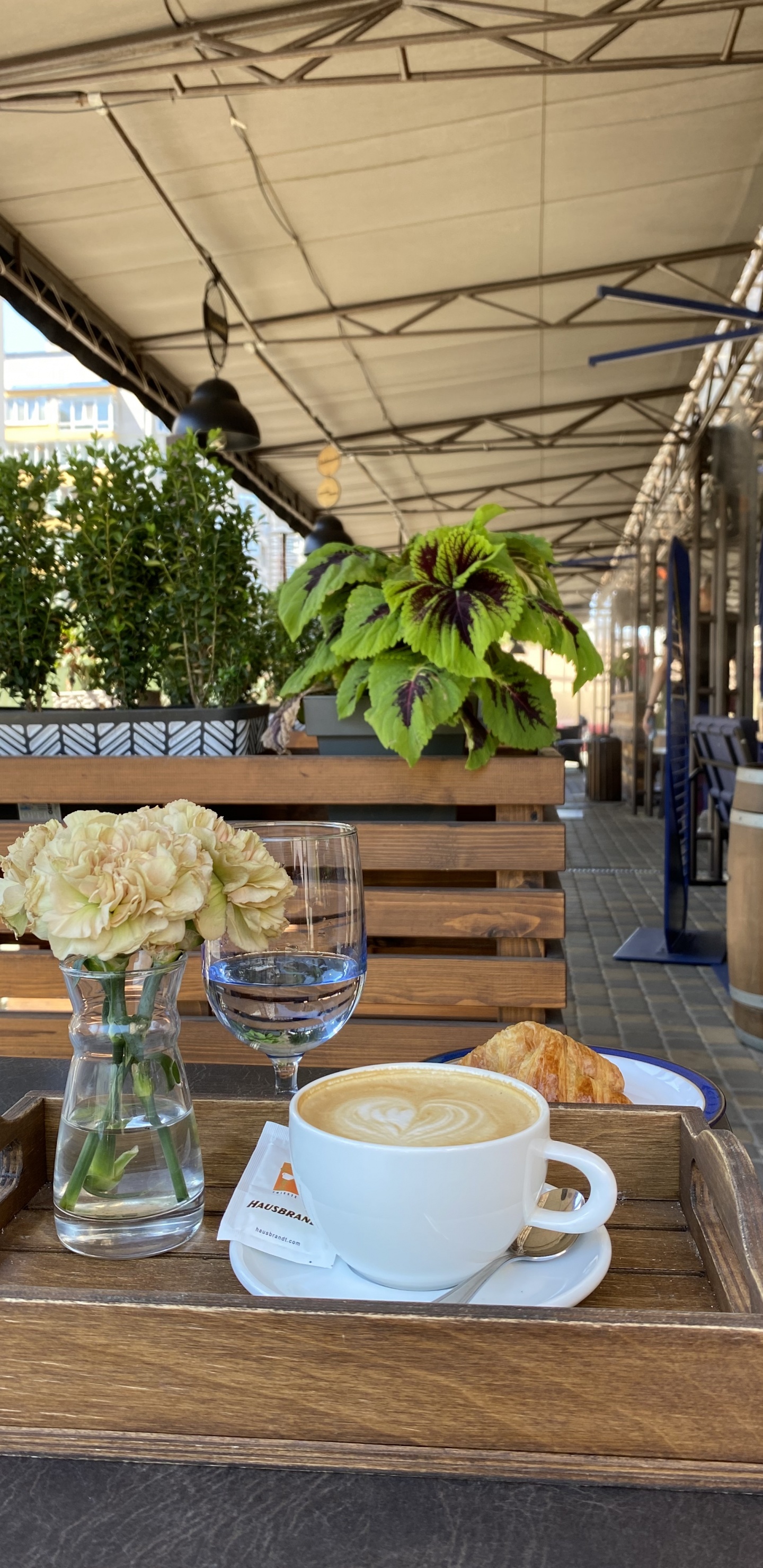 Обои таблица, кофейня, наука, биология, кофейная чашка в разрешении 1440x2960