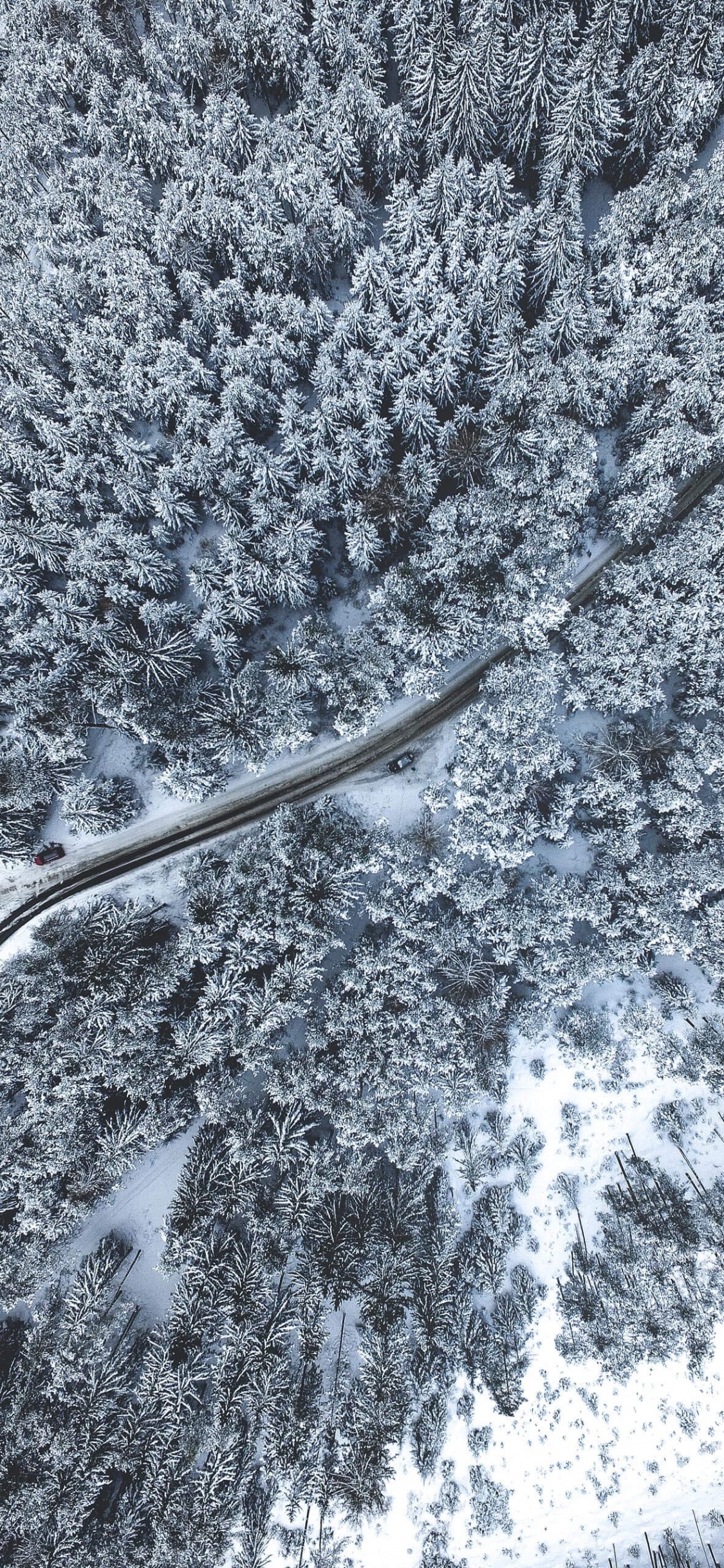 Обои снег, химия, наука, прут, серый цвет в разрешении 1125x2436