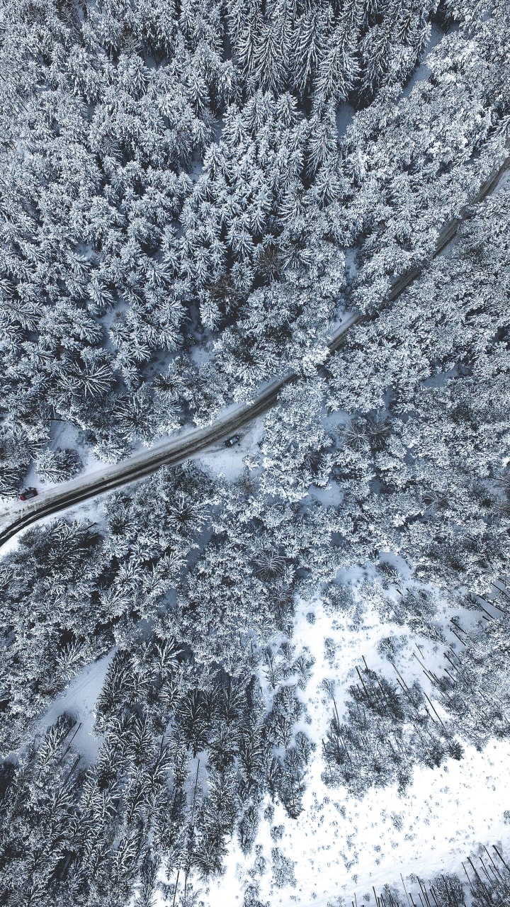 Обои снег, химия, наука, прут, серый цвет в разрешении 720x1280