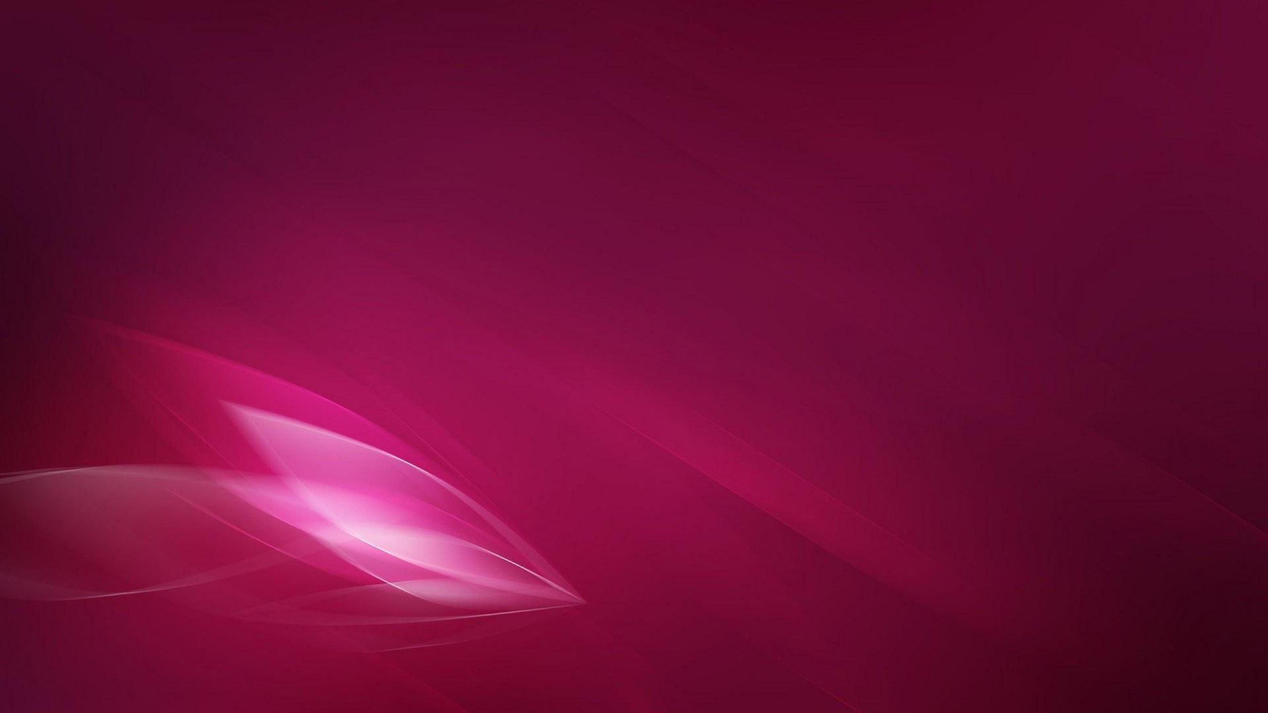Обои свет, розовый, красный цвет, Фиолетовый, пурпур в разрешении 2560x1440