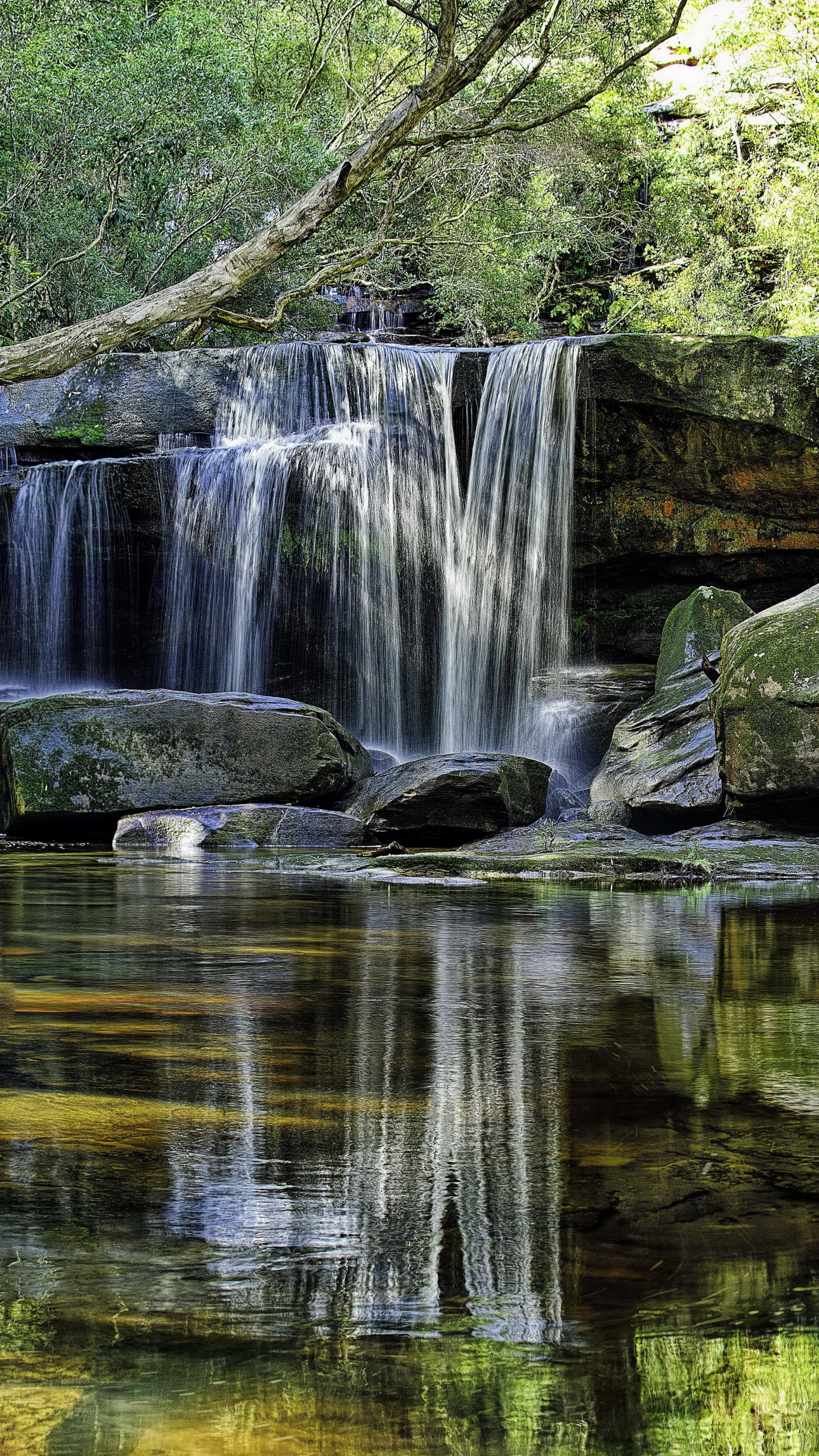 Обои водоем, водопад, гидроресурсы, природа, вода в разрешении 1440x2560