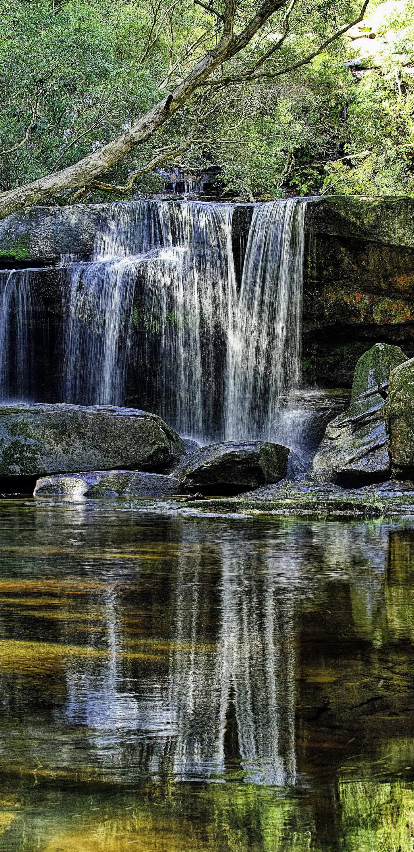 Обои водоем, водопад, гидроресурсы, природа, вода в разрешении 1440x2960