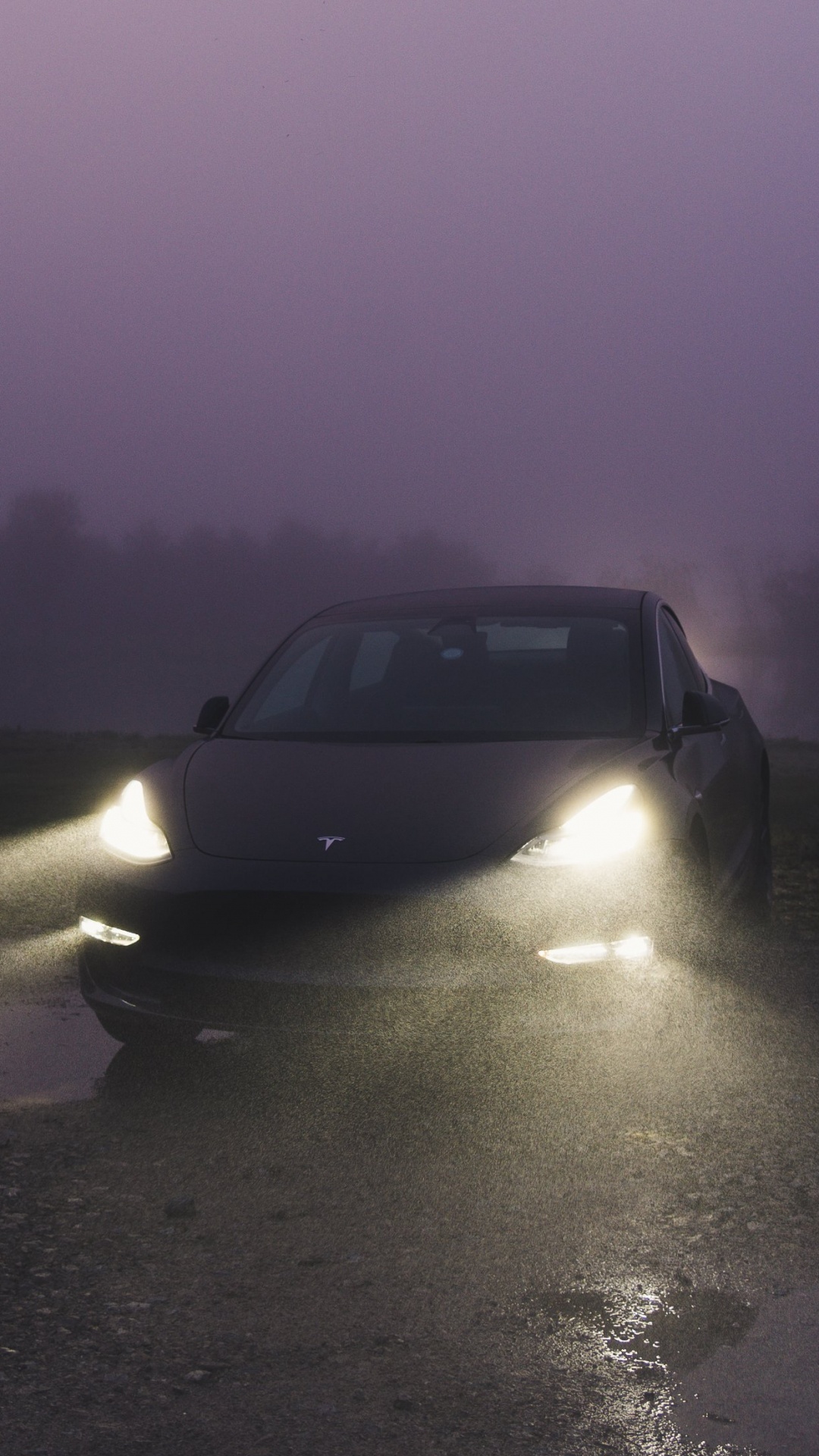 Обои Tesla Model 3, Tesla, отражение, Король, вода в разрешении 1080x1920