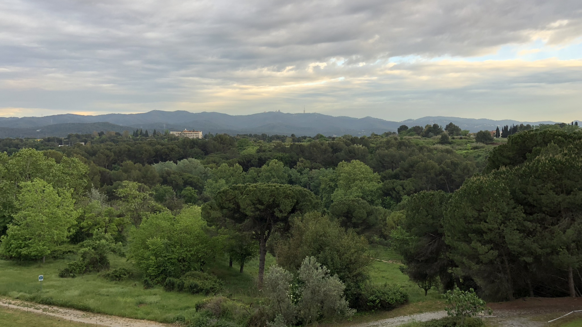 Обои биом, кустарник, растительность, облако, растительное сообщество в разрешении 1920x1080