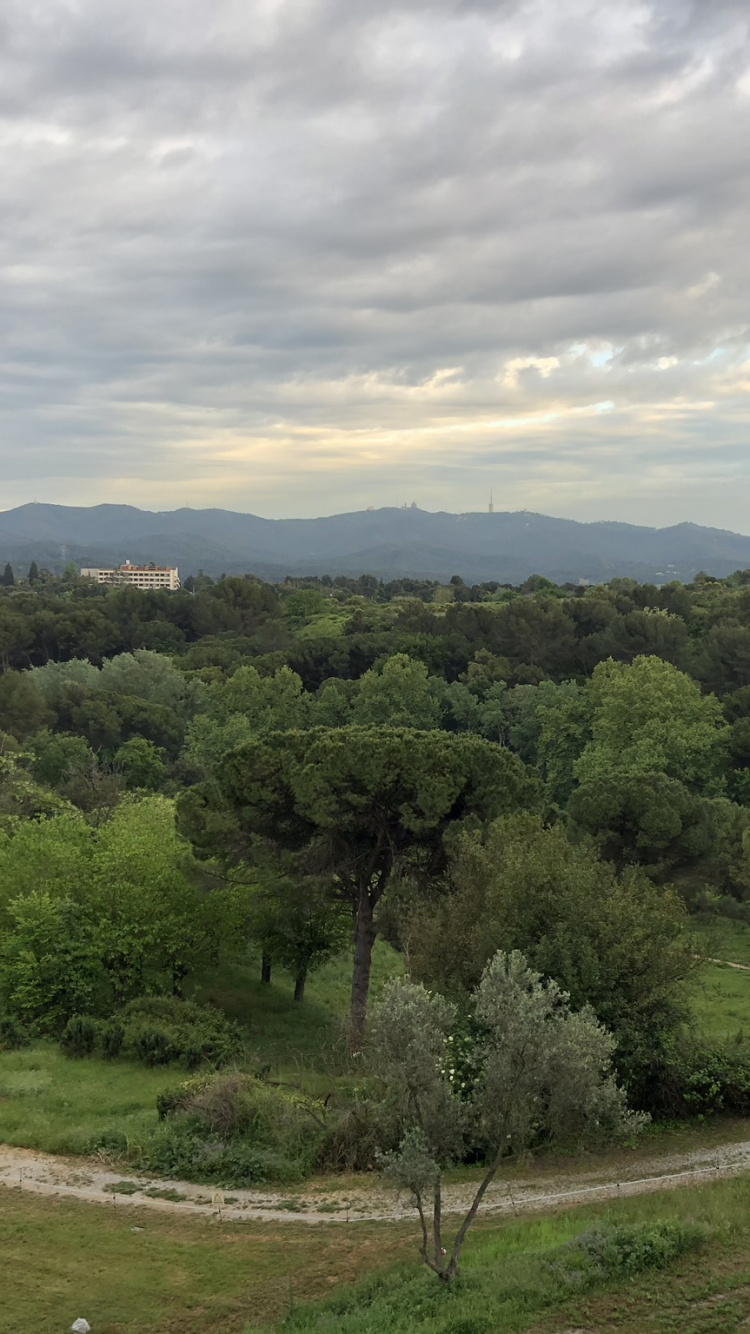 Обои биом, кустарник, растительность, облако, растительное сообщество в разрешении 750x1334