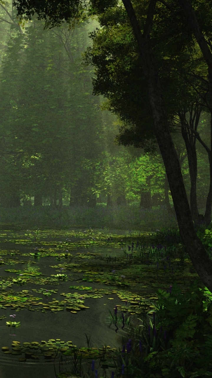 Обои дождь, природа, пейзаж, зеленый, растительность в разрешении 720x1280