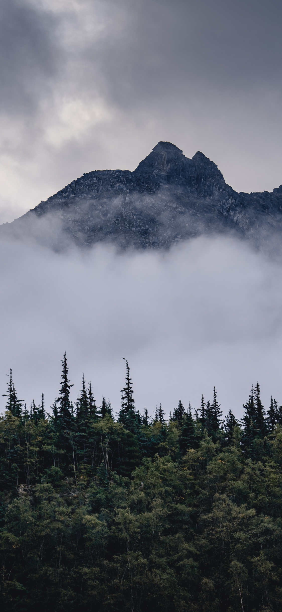 Обои гора, горный рельеф, елово пихтовые леса, пейзажи гор, дикая местность в разрешении 1125x2436