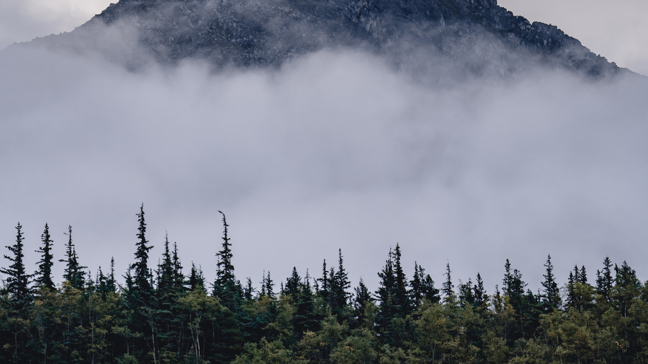 Обои гора, горный рельеф, елово пихтовые леса, пейзажи гор, дикая местность в разрешении 1280x720