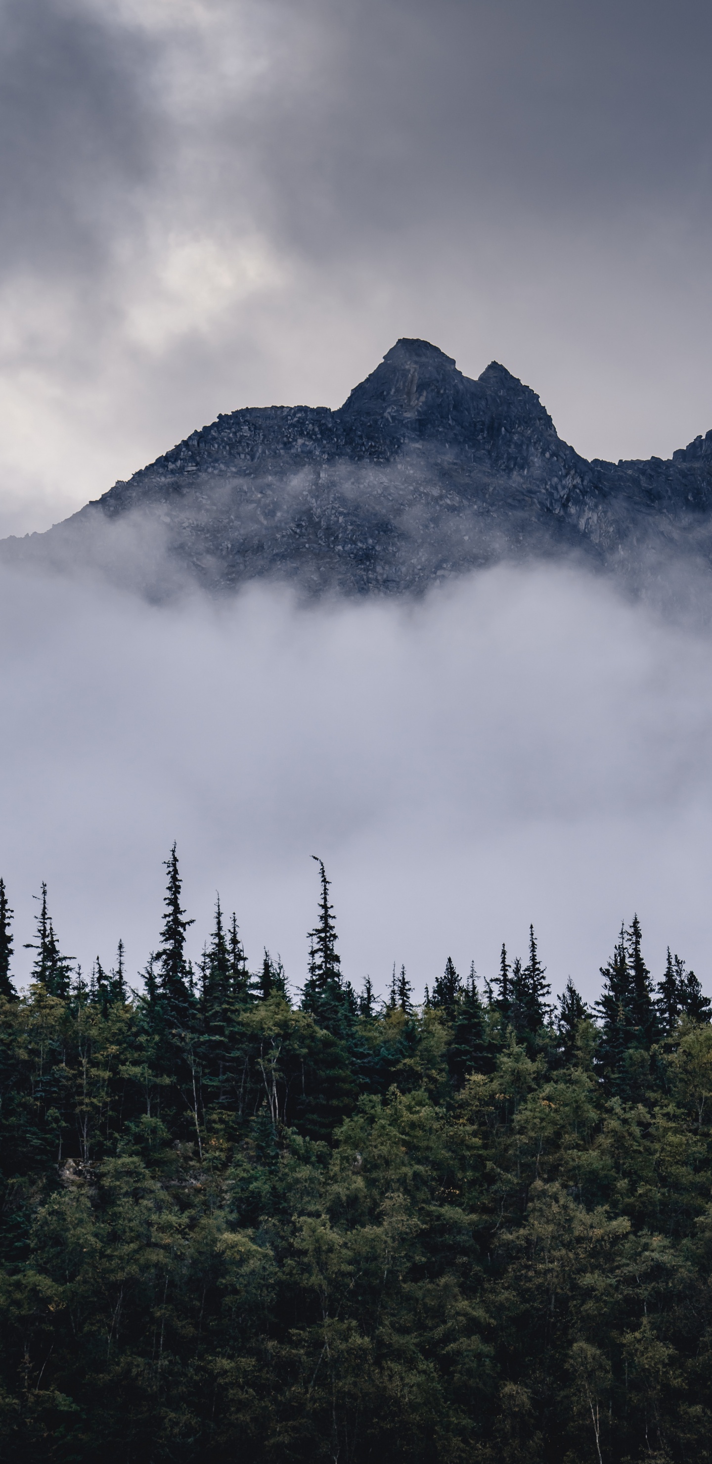 Обои гора, горный рельеф, елово пихтовые леса, пейзажи гор, дикая местность в разрешении 1440x2960