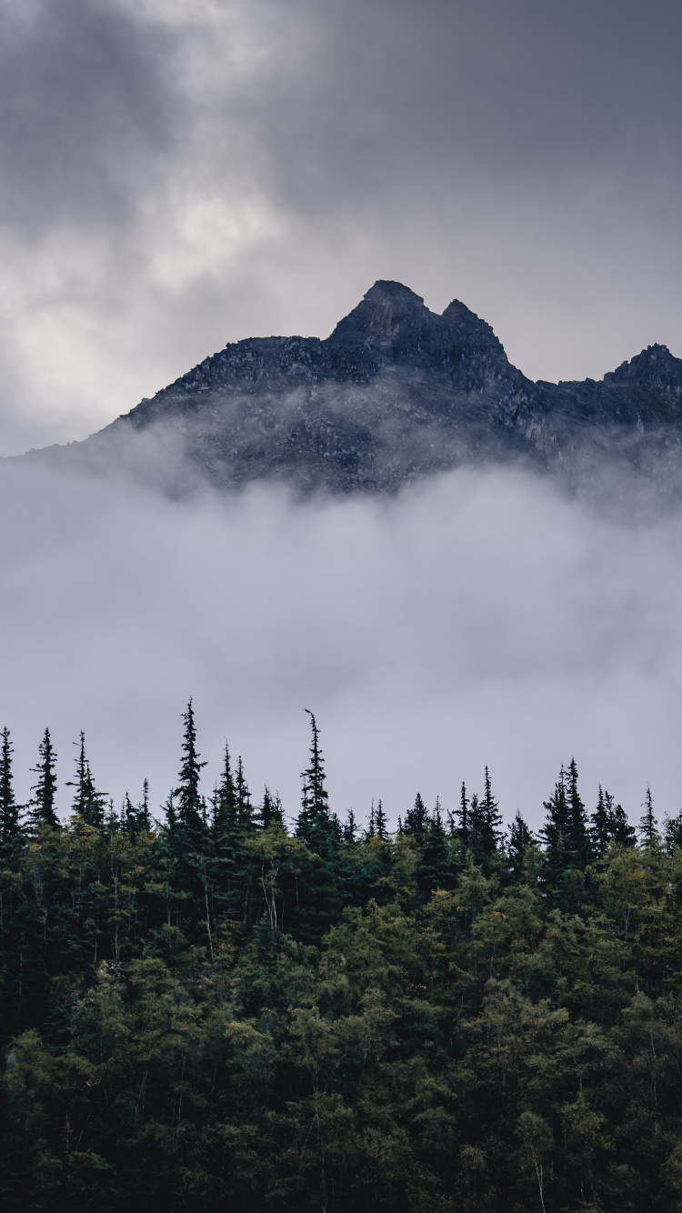Обои гора, горный рельеф, елово пихтовые леса, пейзажи гор, дикая местность в разрешении 750x1334