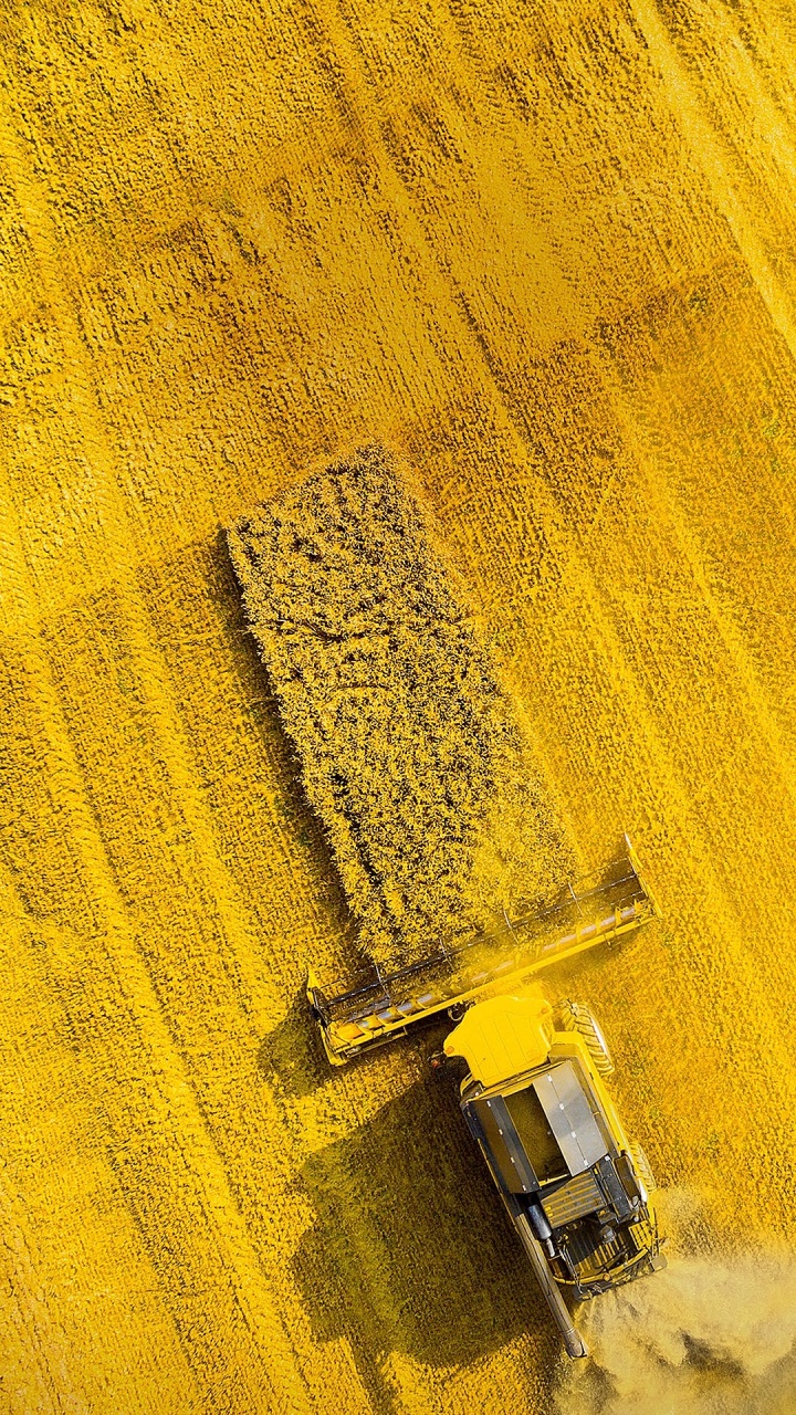 Обои asus, Asus ZenFone, Asus ZenFone 6, asus zenfone max pro m1 zb602kl, rog phone ii в разрешении 720x1280