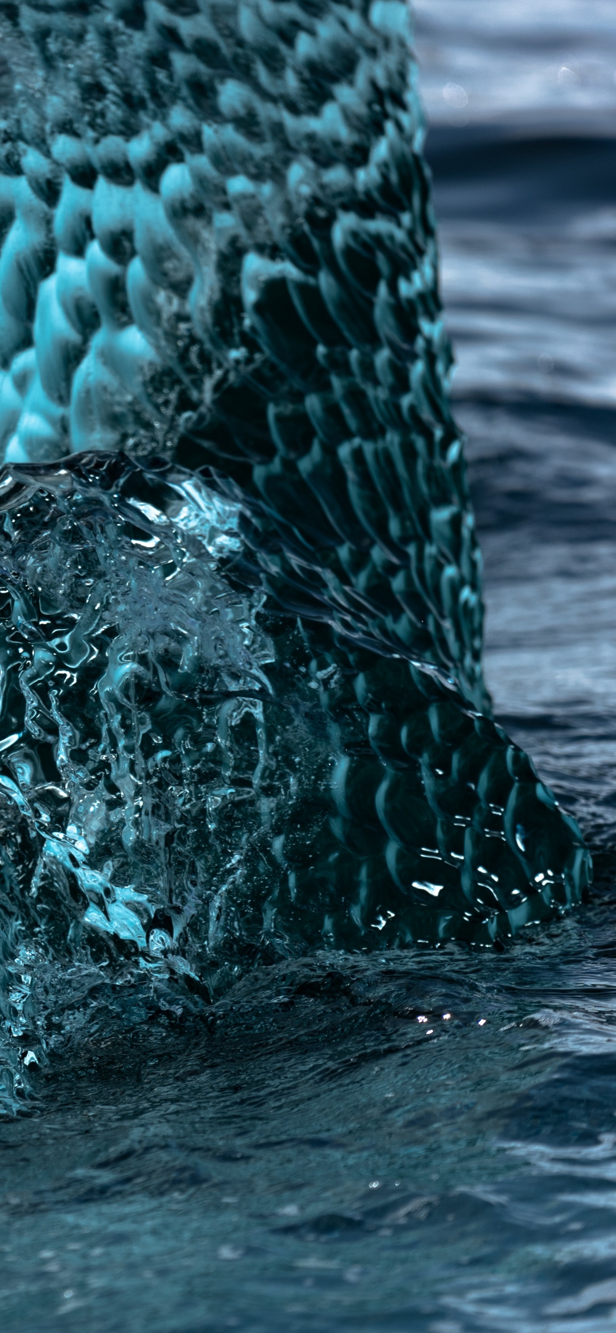 Обои вода, синий, бирюза, океан, морская биология в разрешении 1242x2688