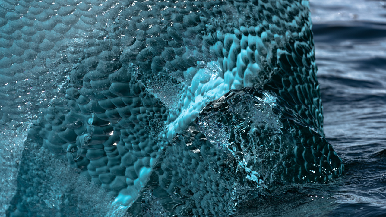 Обои вода, синий, бирюза, океан, морская биология в разрешении 1280x720