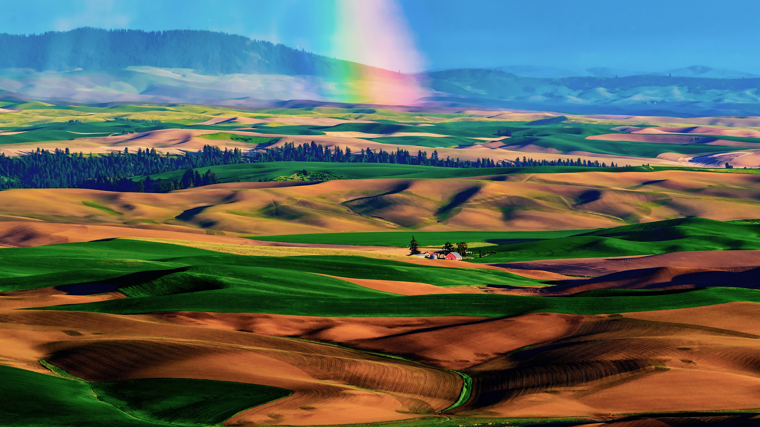 Обои сенокосное угодье, холм, равнина, пейзаж, нагорье в разрешении 2560x1440